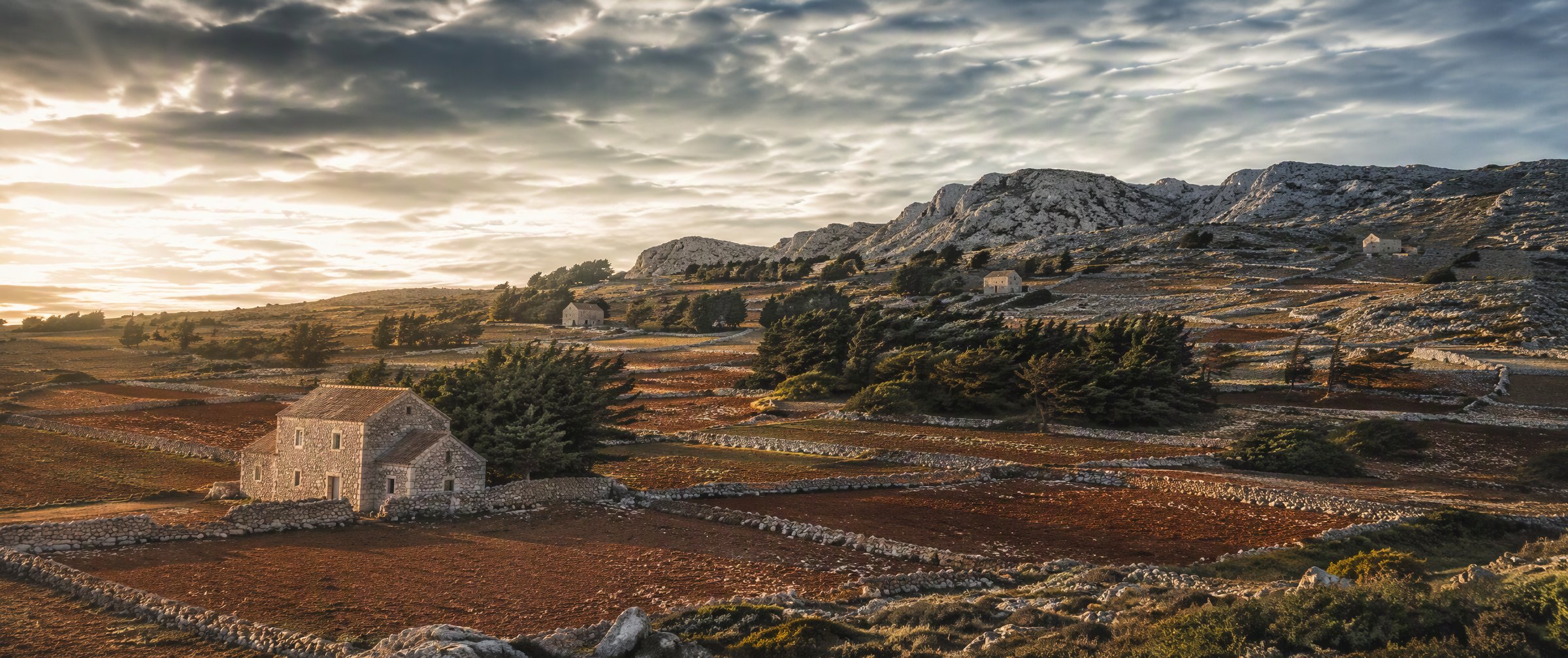 Ultra-wide karst landscape: red-earth fields, dry-stone walls and pine windbreaks