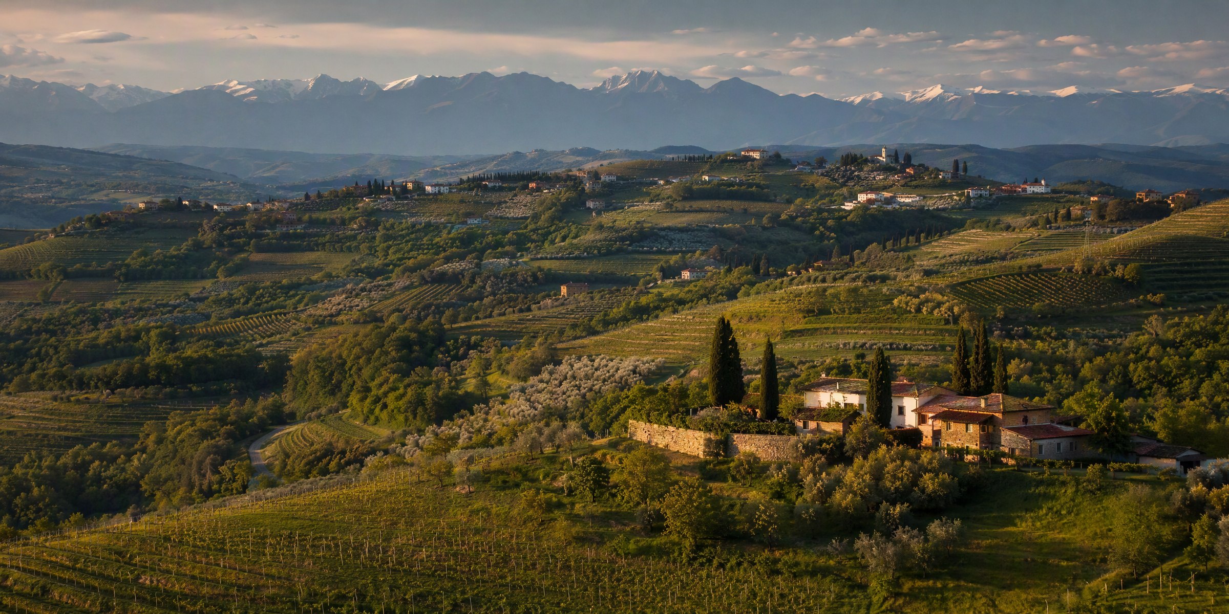 Patchwork of vineyards, orchards and olive groves over the Brda hills