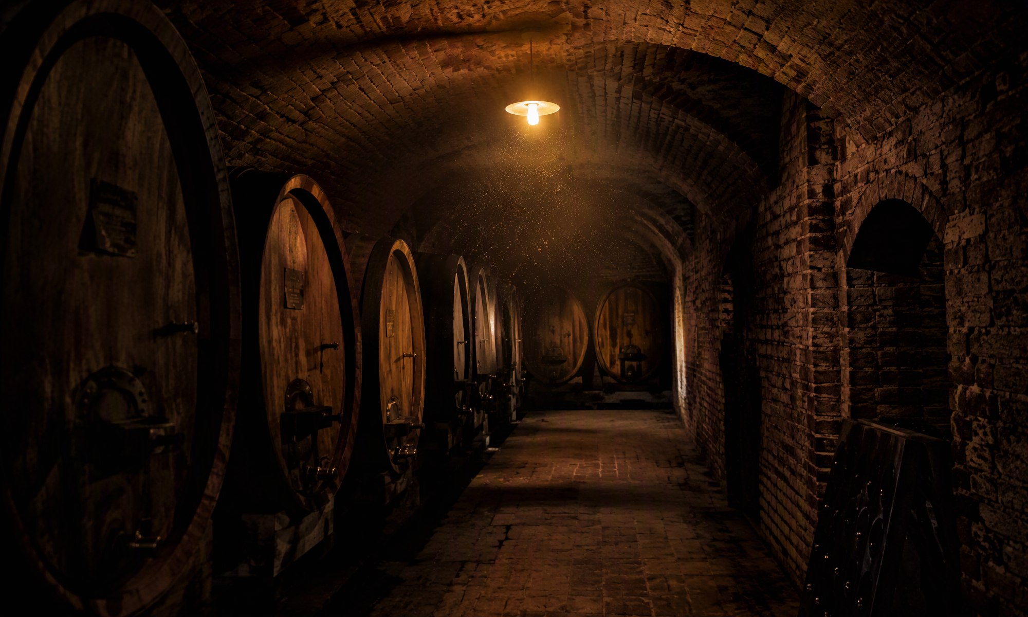 Old brick-vaulted Brda wine cellar with oak barrels