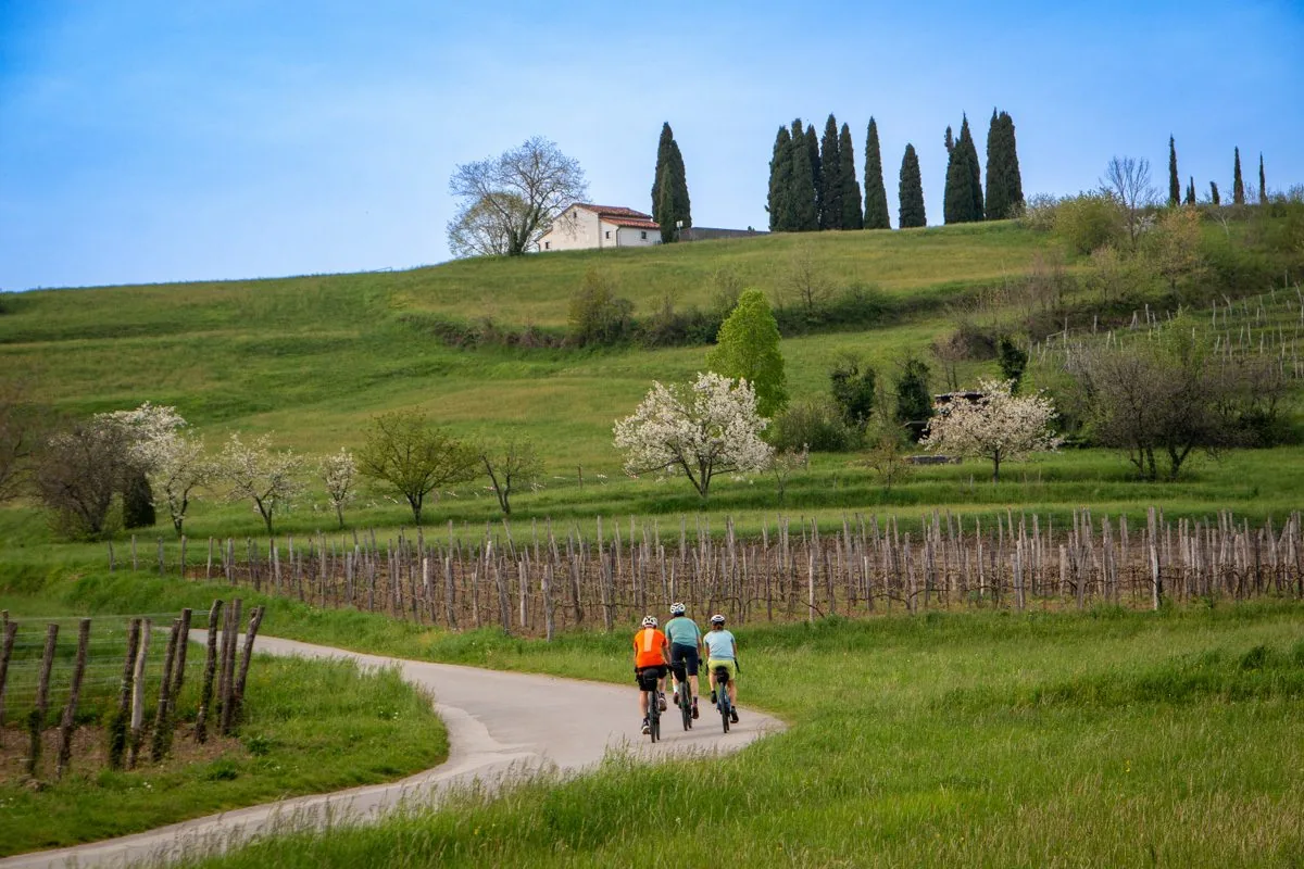 Cyclists on a country road through the Vipava Valley on the Trans Dinarica route