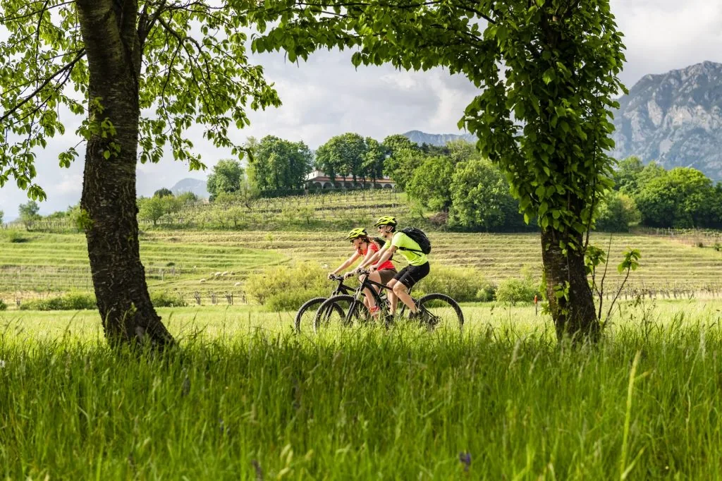 Two cyclists riding through the green Vipava Valley with vineyards and mountains
