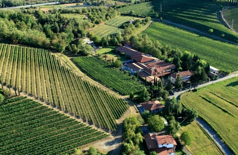 Aerial view of a Collio winery surrounded by vineyards