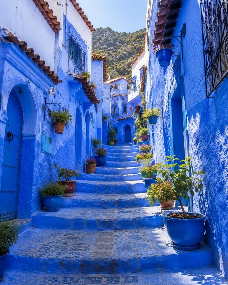 Blue-painted steps climbing between blue houses with flower pots in Chefchaouen