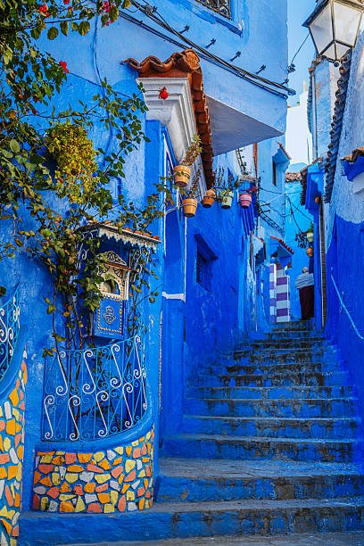 A blue alley with mosaic tiles, hanging plants and a staircase in Chefchaouen