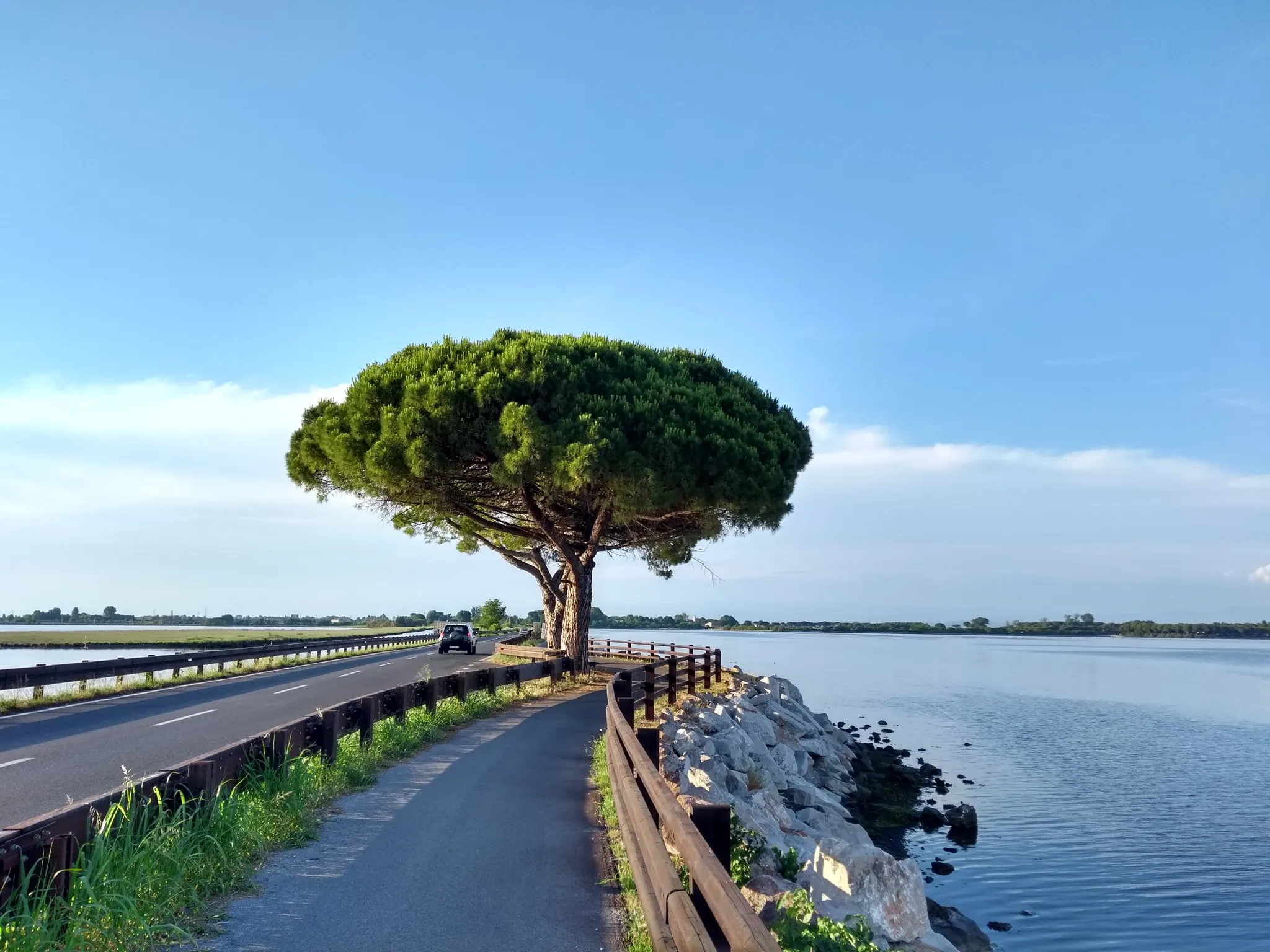 Cycling path along the Stella River Nature Reserve with panoramic water views