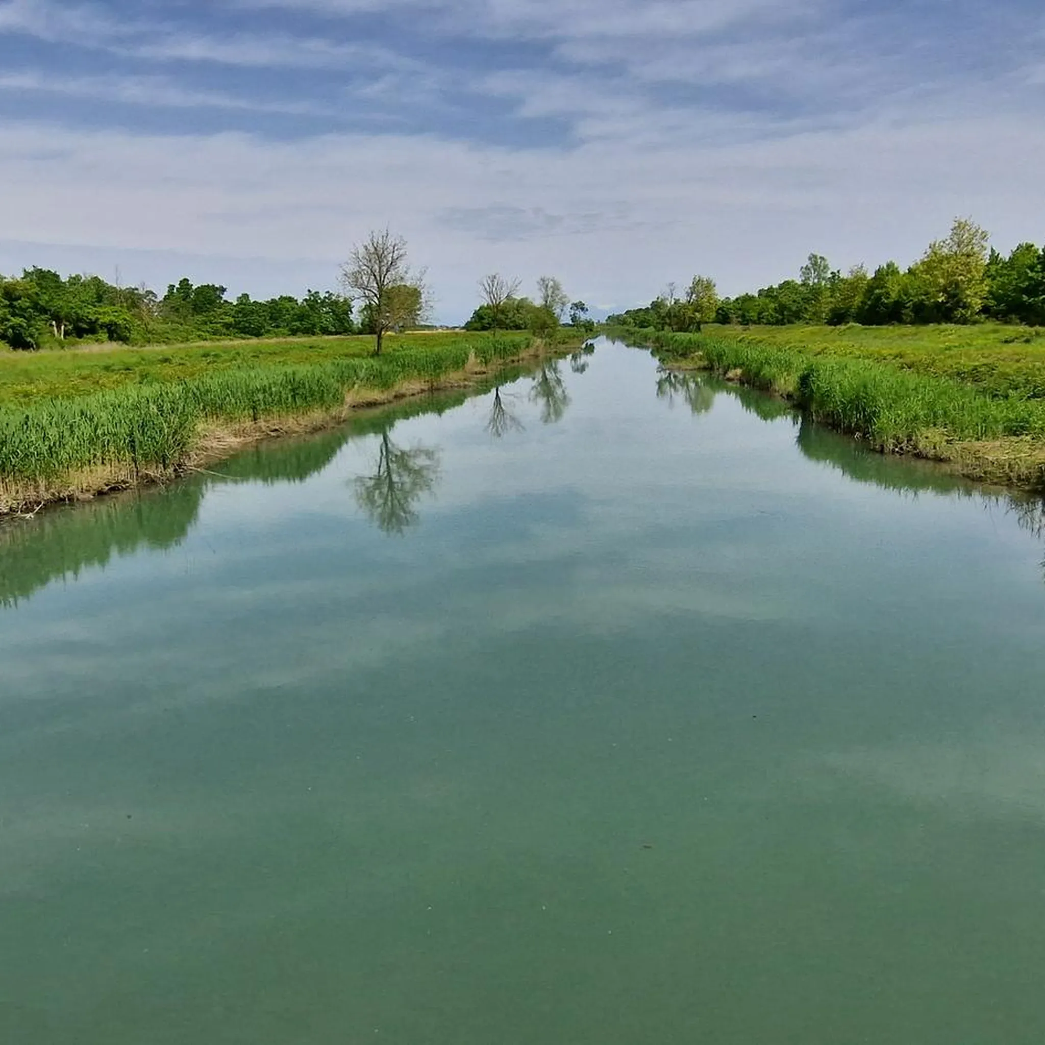 A peaceful canal along the cycling route flanked by trees and green fields