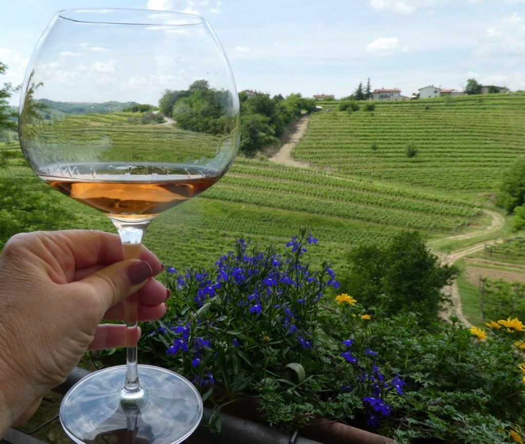 Goriska Brda vineyards