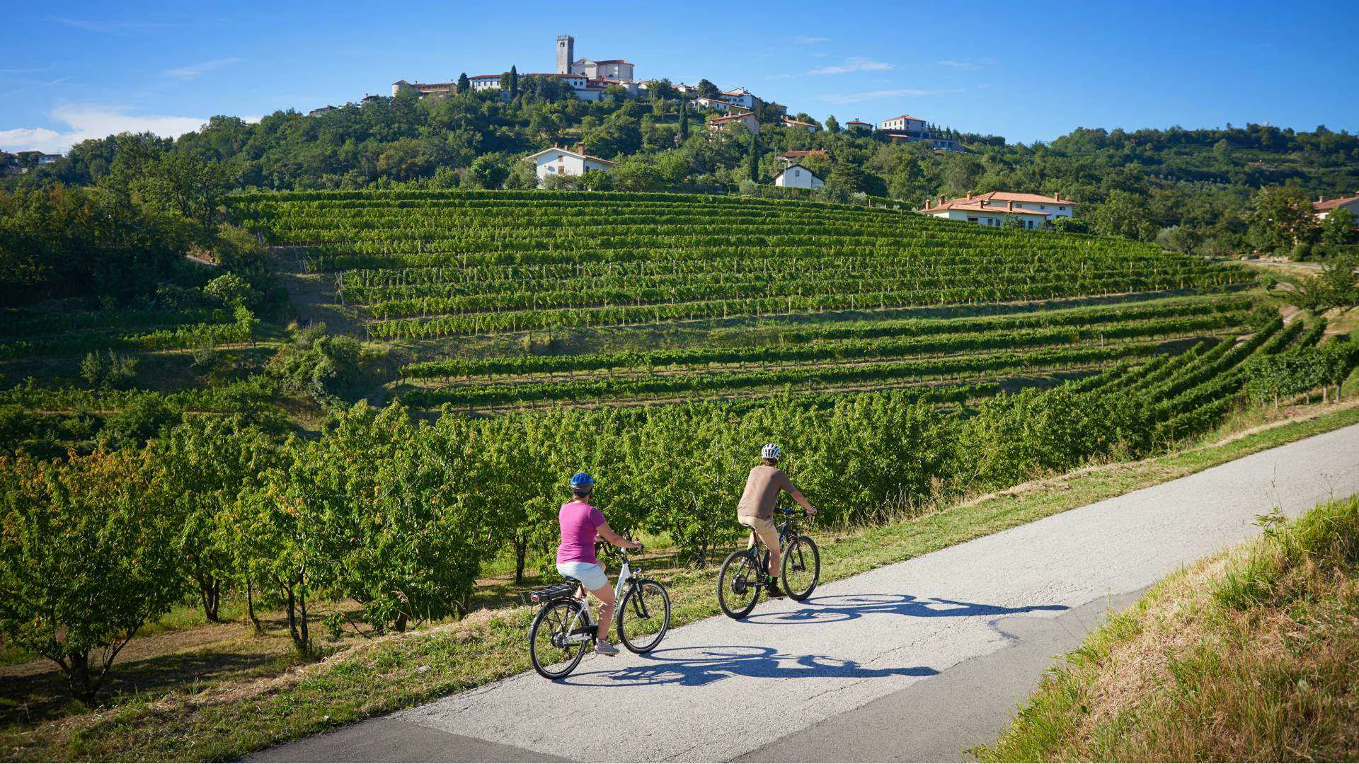 Vineyards in Goriška Brda with Šmartno village