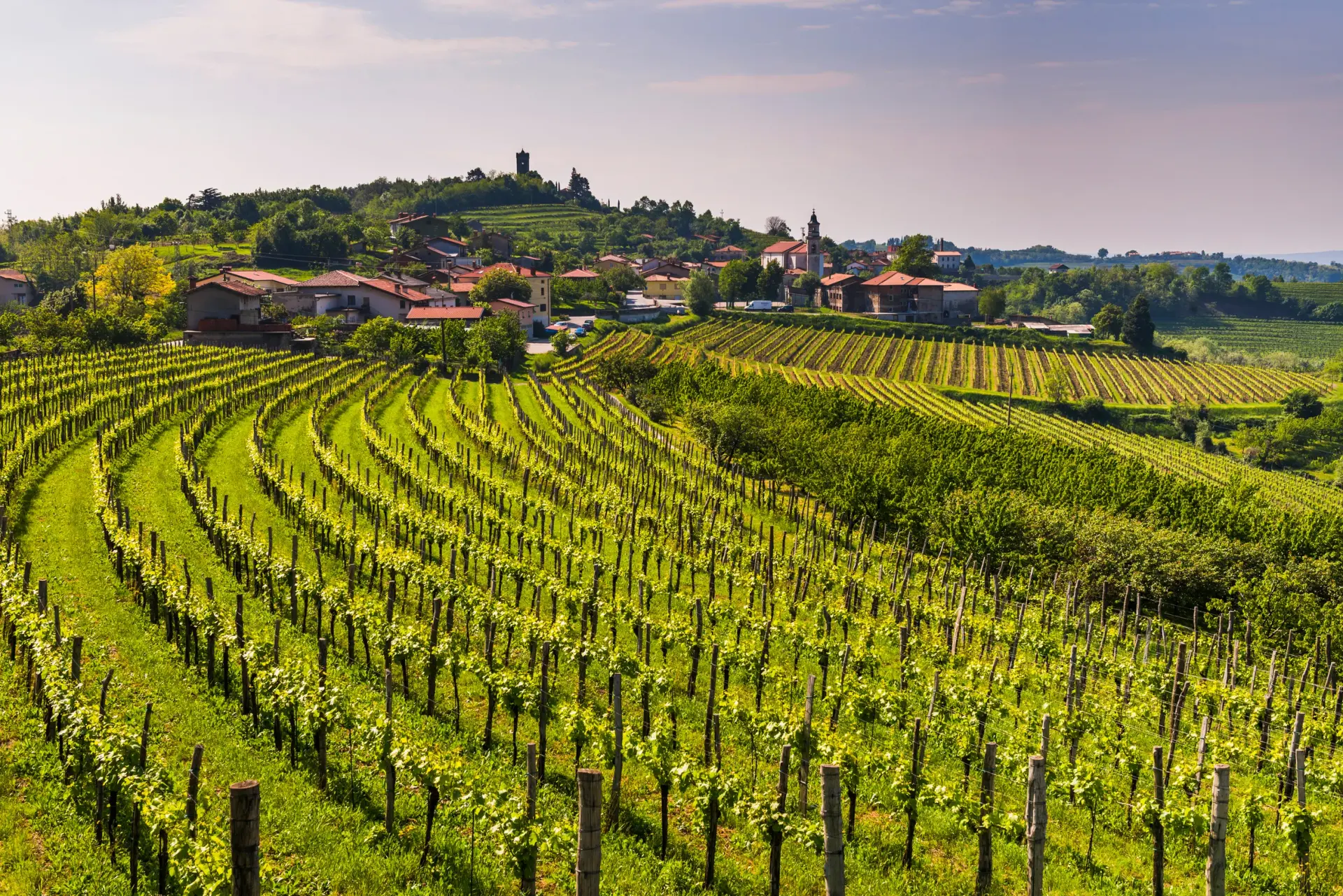 Eat and Drink in Nova Gorica