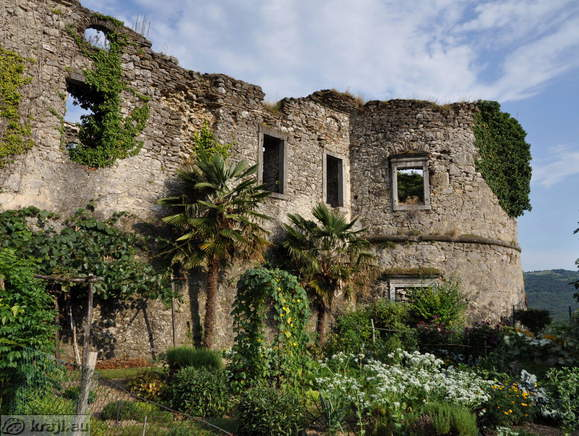 Castle ruins with vegetation