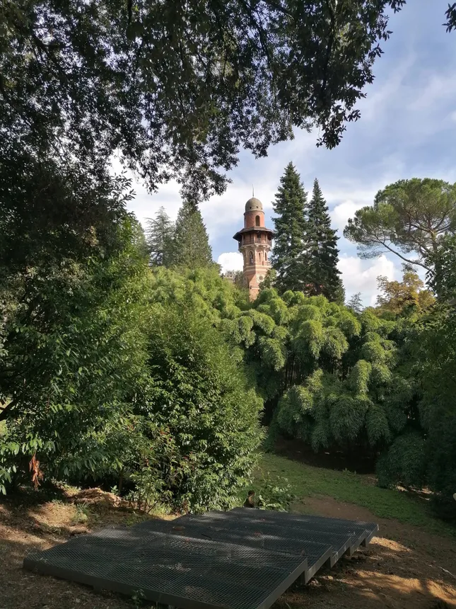 Vila Rafut tower rising above bamboo and evergreen trees
