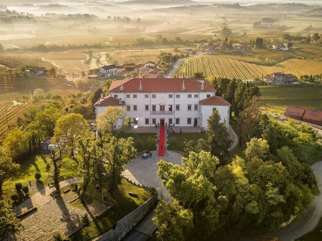 Wine and dine: Vipolže vineyards guide