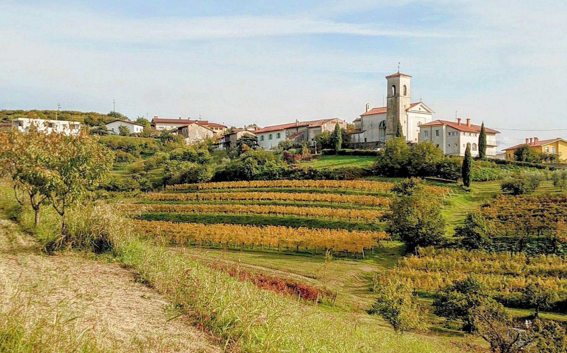 Vipolže village — where a thousand years of history unfolds amid carefully terraced vineyards and centuries-old stone buildings.