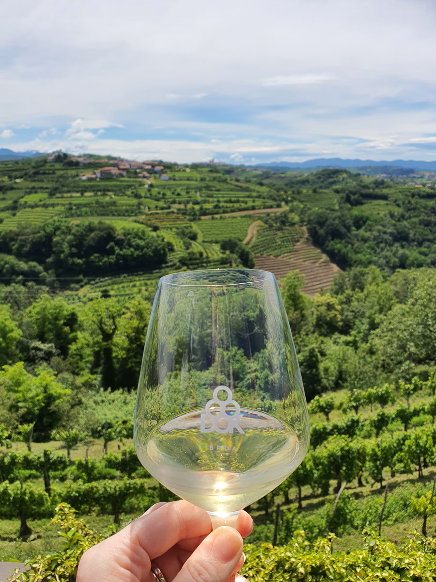 A glass of Brda wine raised against the rolling vineyard hills.